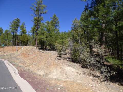 2401 S Hidden Ridge Trail, Show Low, AZ 85901