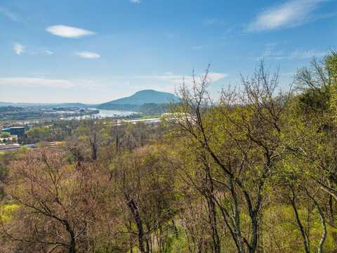 195 Whitehall Road, Chattanooga, TN 37405