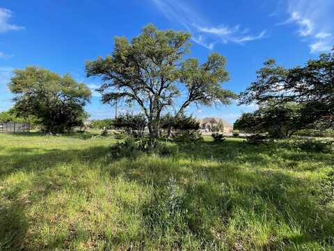 104 Tom Ross, Blanco, TX 78606