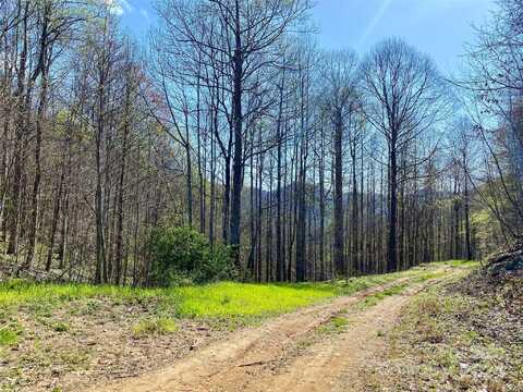 8331 Grapevine Road, Marshall, NC 28753