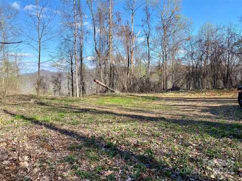 999 Grapevine Road, Marshall, NC 28753