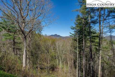 Lot 56 Newland Highway, Linville, NC 28657