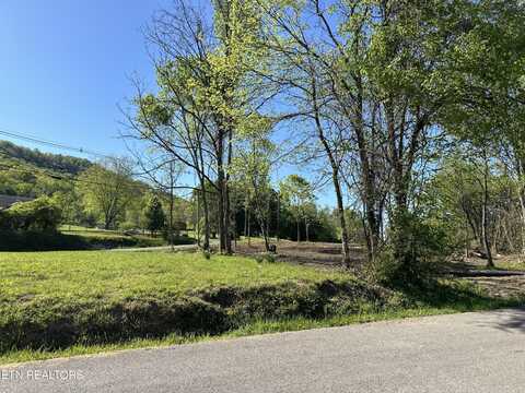 Dutch Valley Rd, Rocky Top, TN 37769