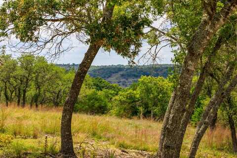 Maenius Rd, Blanco, TX 78606