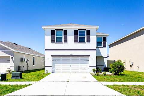 17043 BLISTER WING DR, Other City - In The State Of Florida, FL 33598