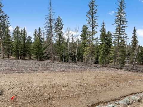 Lot 12 Block 8 Trailside Road, Lead, SD 57754