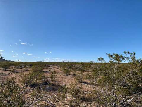 42 Foxy Flats Rd, Joshua Tree, CA 92252