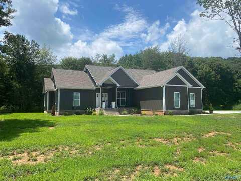 53 Luke Street, Scottsboro, AL 35769