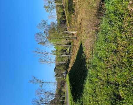 Cascade Lane, Ellijay, GA 30540