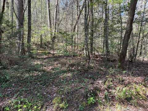 Tbd Trail Road, Murphy, NC 28906