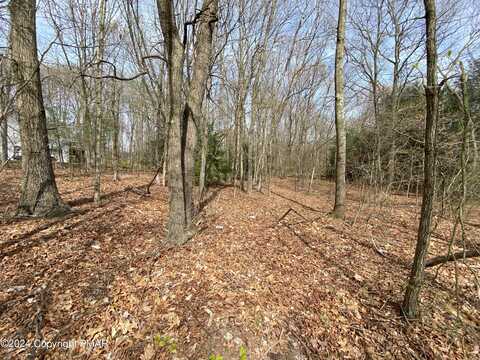 Lot A114 Birch Drive, Jim Thorpe, PA 18229