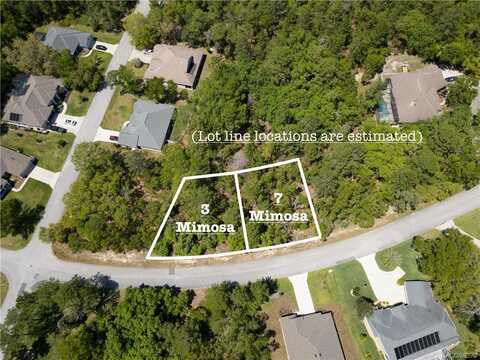 7 Mimosa Court E, Homosassa, FL 34446