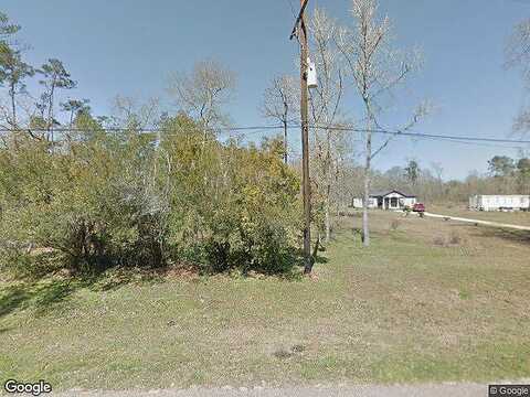 Forest, CONROE, TX 77306