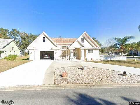 Panther, SPRING HILL, FL 34607