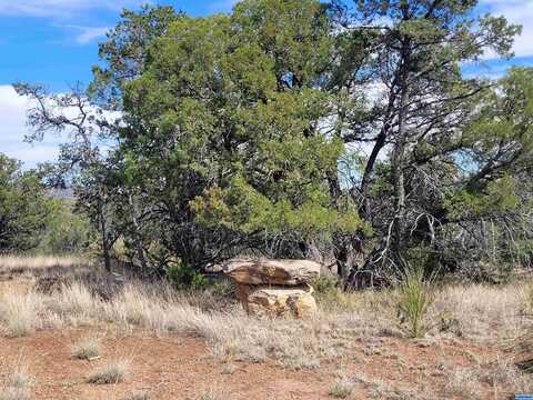 Moon Shadow, Hanover, NM 88041