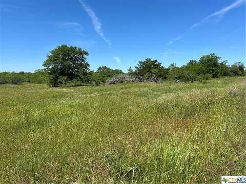 Tract 4 CR 482, Gonzales, TX 78629