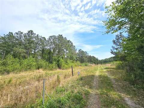 Xx 56 Acres+- Country Road, La Grange, NC 28551