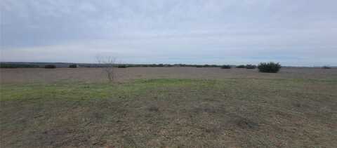 Tbd PR 16028, Jonesboro, TX 76538