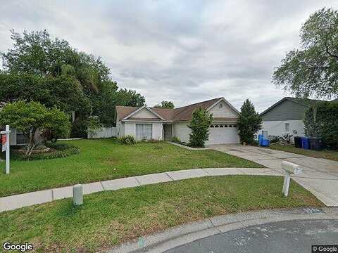 Cabbage Palm, VALRICO, FL 33596