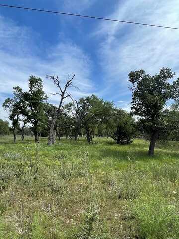 Lot 20 Scott Branch Rd, Harper, TX 78631