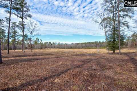 1626-06 Sumter Highway, Rembert, SC 29128