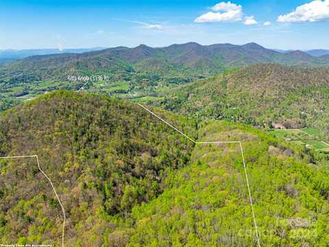 99999 Ox Creek Road, Weaverville, NC 28787