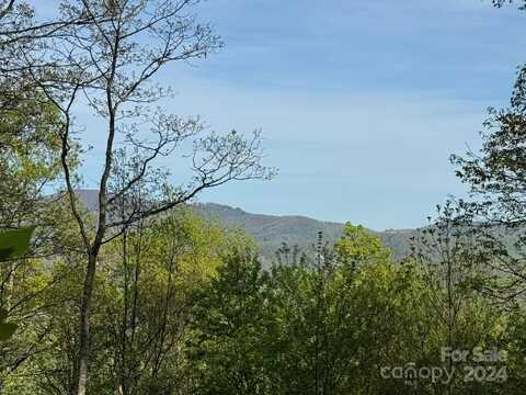 0000 Laurel Creek Drive, Hendersonville, NC 28792