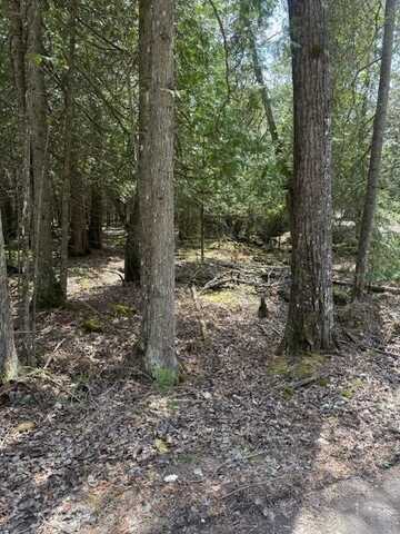 1.09ac Stoney Point RD, Hessel, MI 49745