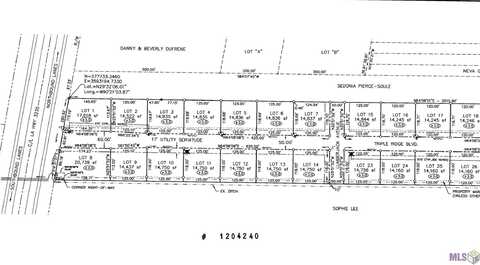 Lot 13 TRIPLE RIDGE BLVD, Cut Off, LA 70345