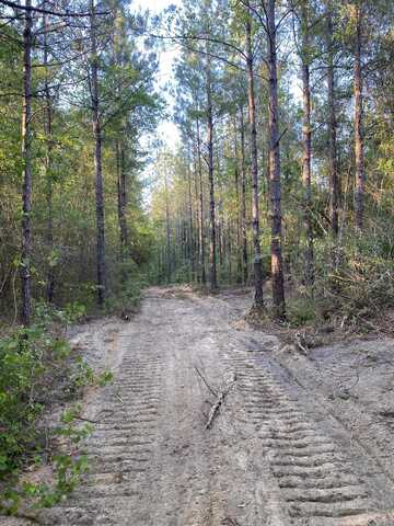 Tract 2 5.15 Acres Nelson Rd., Poplarville, MS 39470