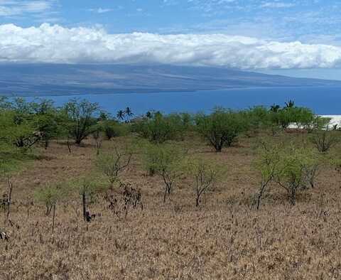 59-229 OLOMANA RD, KAMUELA, HI 96743