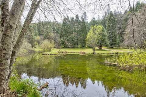 7250 Mitchell Mill Rd, Wilseyville, CA 95257