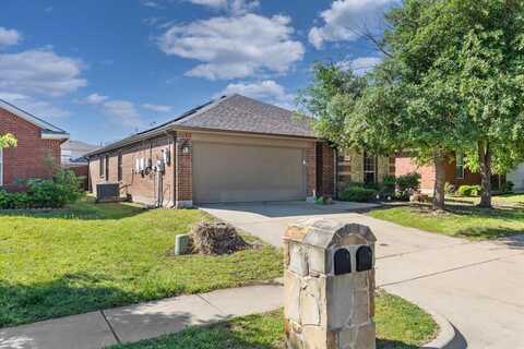 4033 Shady Meadow Lane, Princeton, TX 75407