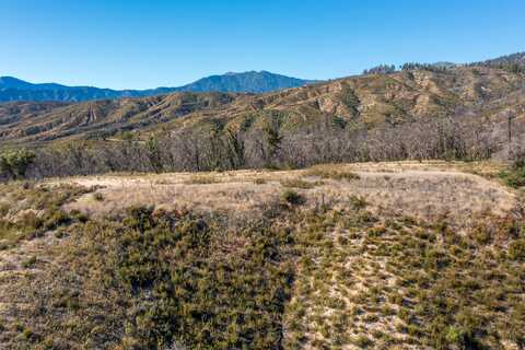 Ono, 116 Acres 041-300-024-000, Ono, CA 96047