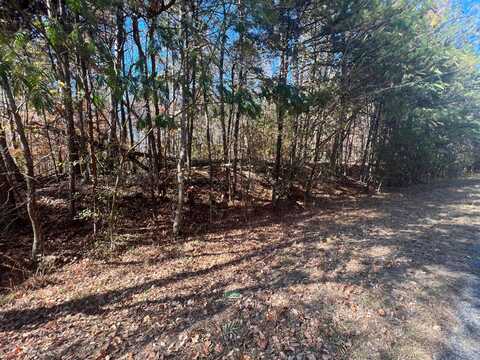 PATTON HILL Rd, Oakman, AL 35579