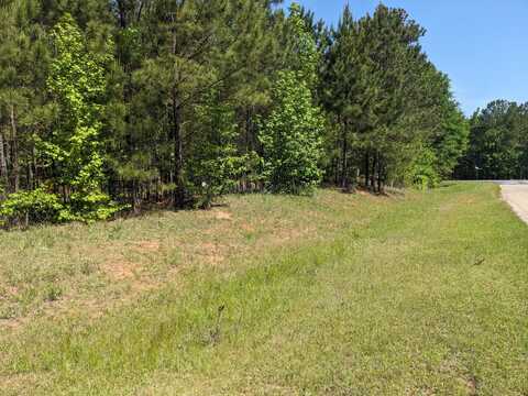 LOT 51 WILLOW WAY, Lincolnton, GA 30817