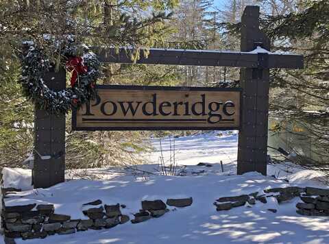 47 Powderidge Dr, Snowshoe, WV 26209