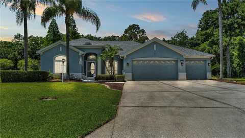 2701 SPRING MEADOW DRIVE, PLANT CITY, FL 33566