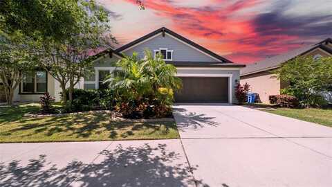 11341 AMERICAN HOLLY DRIVE, RIVERVIEW, FL 33578