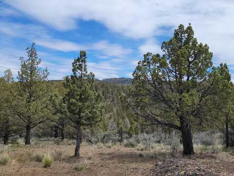 SE Osprey Road, Prineville, OR 97754