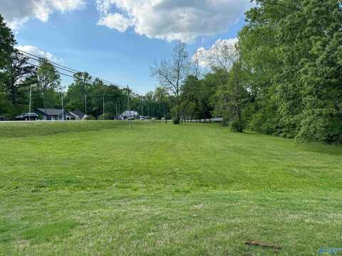 .90 Ac Main Street, Blountsville, AL 35031