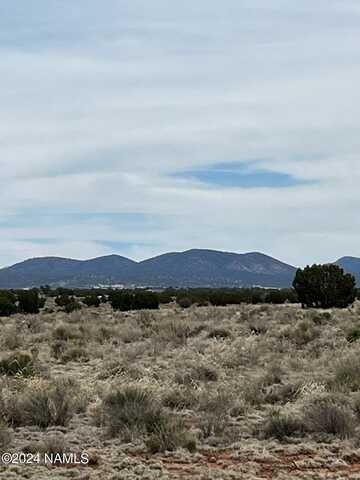 2888 E White Cloud Road, Williams, AZ 86046