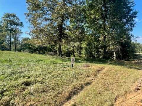 Lot 5 Clear Creek Preserve Way, Ellijay, GA 30536