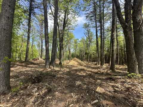 LOT 2 Mountain Shadows Drive, CTR Tuftnboro, NH 03816