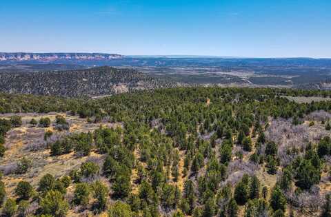 829.15 Acres East of Zion, Mount Carmel, UT 84755