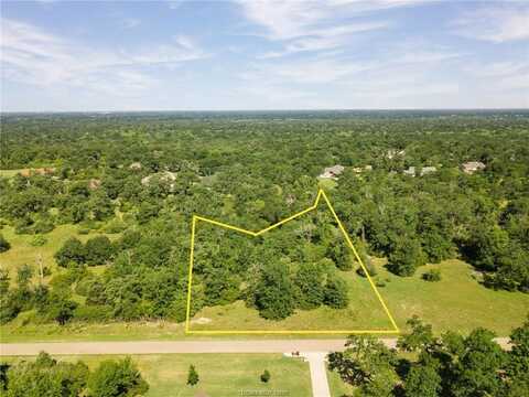 9767 Lancaster Drive, Iola, TX 77861