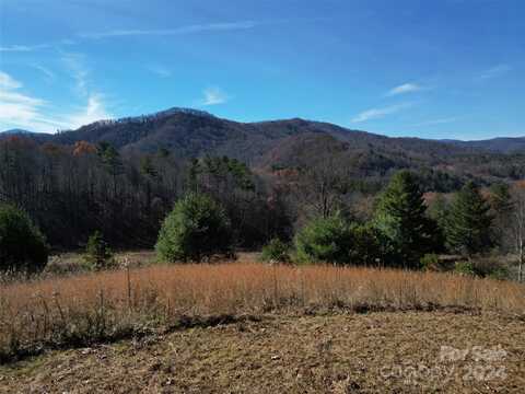 20 Dream Valley Drive, Clyde, NC 28721