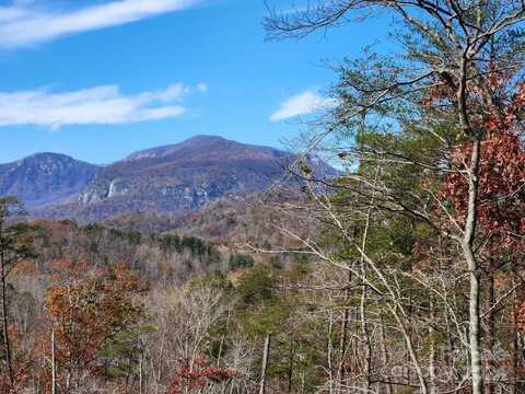 Sparrows Way unit: 46, Lake Lure, NC 28746