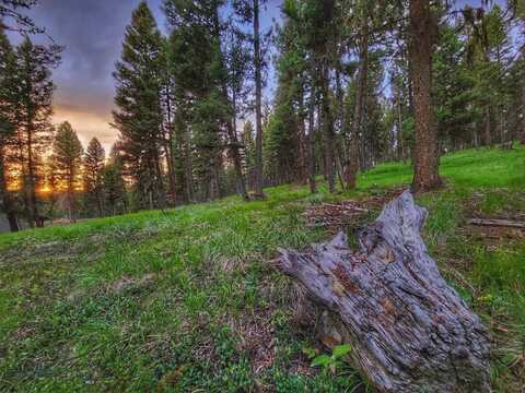 289 Seclusion Point, Seeley Lake, MT 59868