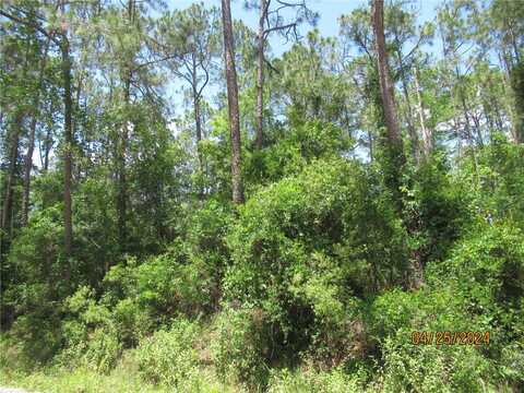 2166 COUNTY ROAD 305, BUNNELL, FL 32110